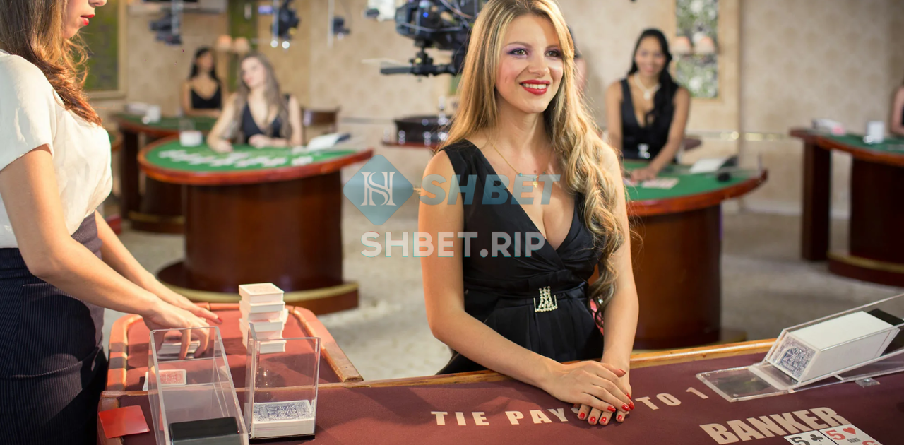 Tại sao bạn nên chơi Casino SHBET ngay hôm nay?